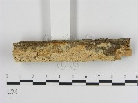 登錄號:F0010515藏品圖，第3張