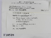 登錄號:F0010516藏品圖，第2張