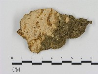登錄號:F0010516藏品圖，第1張