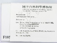 登錄號:F0010517藏品圖，第2張