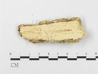 登錄號:F0010517藏品圖，第3張