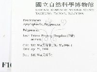多孔菌屬藏品圖，第2張