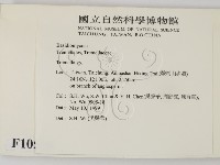 銀耳屬藏品圖，第2張