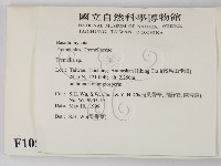 銀耳屬藏品圖，第2張