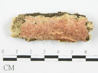 登錄號:F0010523藏品圖，第1張