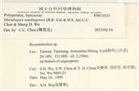 登錄號:F0010523藏品圖，第5張
