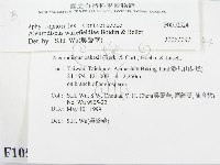 登錄號:F0010524藏品圖，第2張