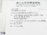 登錄號:F0010524藏品圖，第3張