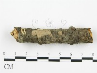 登錄號:F0010524藏品圖，第1張