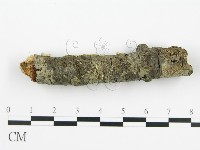 登錄號:F0010524藏品圖，第8張