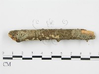 登錄號:F0010525藏品圖，第5張