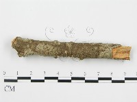 登錄號:F0010525藏品圖，第6張