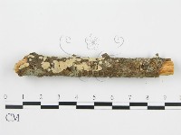 登錄號:F0010525藏品圖，第8張