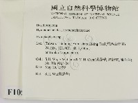刺革菌屬藏品圖，第2張
