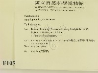 登錄號:F0010527藏品圖，第2張