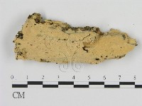 登錄號:F0010527藏品圖，第1張