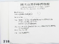 登錄號:F0010528藏品圖，第2張