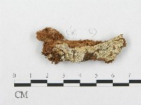 登錄號:F0010528藏品圖，第1張