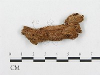 登錄號:F0010528藏品圖，第3張