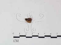 登錄號:F0010529藏品圖，第3張