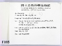 登錄號:F0010530藏品圖，第2張