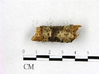 登錄號:F0010530藏品圖，第1張