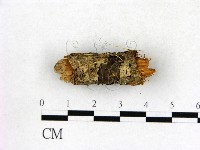 登錄號:F0010530藏品圖，第3張