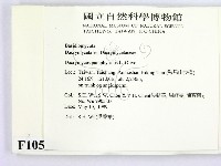 登錄號:F0010532藏品圖，第2張