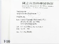 多孔菌屬藏品圖，第2張