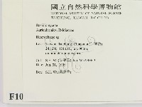 刺皮菌屬藏品圖，第2張