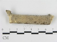 刺皮菌屬藏品圖，第1張