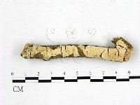 登錄號:F0010536藏品圖，第1張