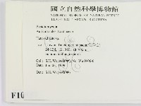 刺皮菌屬藏品圖，第2張