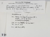 登錄號:F0010538藏品圖，第2張