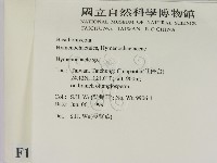 刺革菌屬藏品圖，第2張