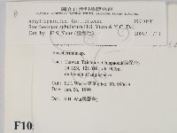 登錄號:F0010541藏品圖，第2張