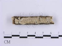 登錄號:F0010541藏品圖，第1張