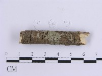 登錄號:F0010541藏品圖，第4張