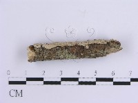 登錄號:F0010541藏品圖，第5張