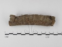 登錄號:F0010542藏品圖，第1張