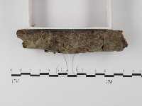 登錄號:F0010542藏品圖，第3張
