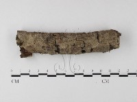 登錄號:F0010542藏品圖，第4張