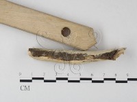 登錄號:F0010543藏品圖，第3張