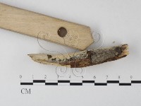 登錄號:F0010543藏品圖，第4張