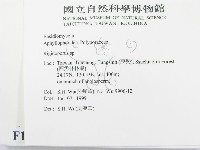 硬孔菌屬藏品圖，第2張