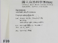 登錄號:F0010545藏品圖，第2張