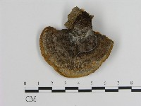 登錄號:F0010545藏品圖，第3張