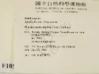 登錄號:F0010547藏品圖，第2張