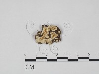 登錄號:F0010547藏品圖，第1張