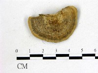 登錄號:F0010548藏品圖，第3張